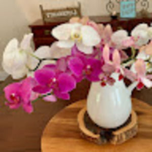 Meet your Posher, Denise